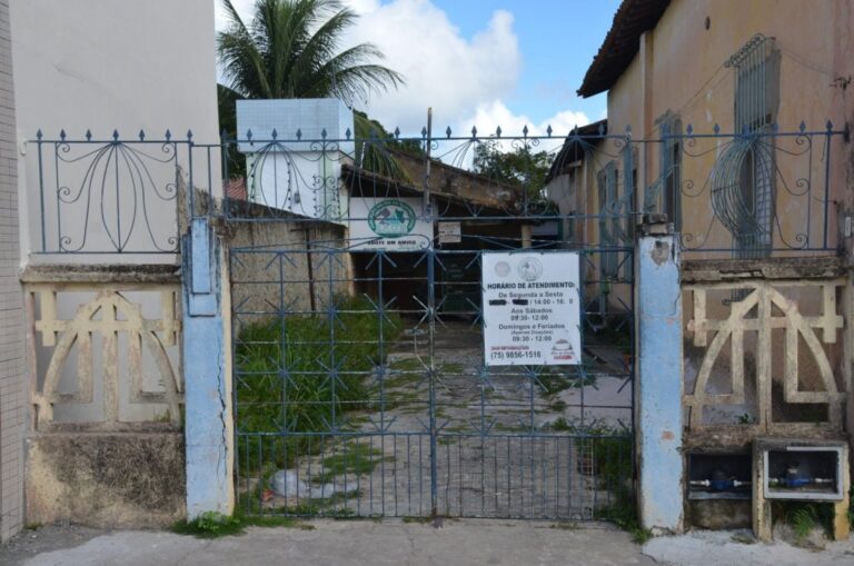 Ministério Público aciona Prefeitura de Alagoinhas pela proteção de animais abandonados Imagem do artigo