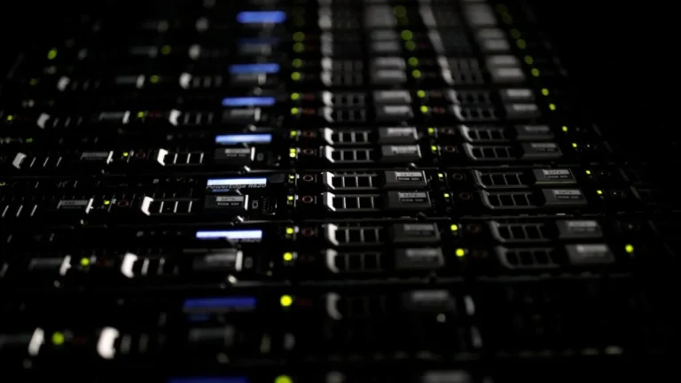 Caminhando Rumo a Uma Cultura de Dados: O Valor da Interpretação Humana