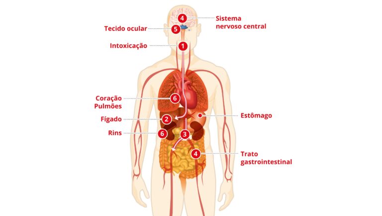 Intoxicação por Metanol: Entenda os Riscos e Sintomas Após Novos Casos na Bahia Intoxicação por Metanol: Entenda os Riscos e Sintomas Após Novos Casos na Bahia