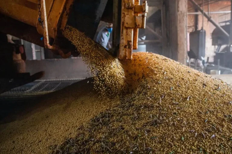 Bahia se Destaca com Crescimento Econômico em 2025, Superando a Média Nacional