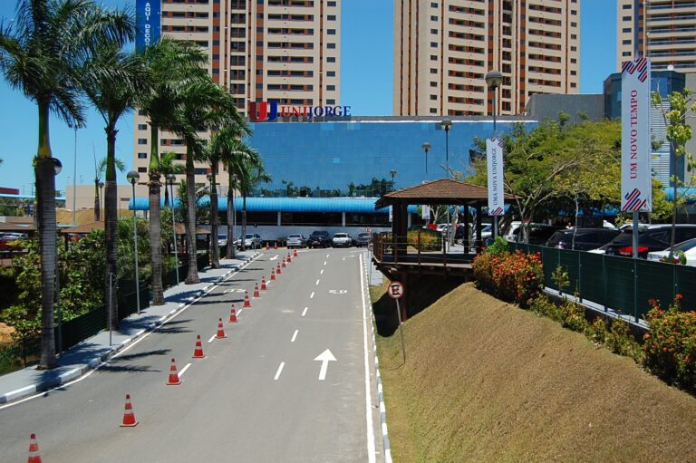 Mutirão de Saúde e Cidadania em Salvador: Serviços Gratuitos para Todos Mutirão de Saúde e Cidadania em Salvador: Serviços Gratuitos para Todos