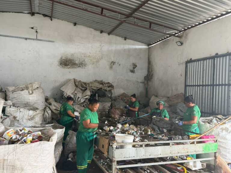 AACRRI: Referência em Inclusão Social e Sustentabilidade no Carnaval de Itabuna