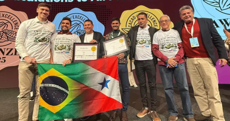 Cacau do Pará Brilha na Premiação Internacional: Ouro na Holanda