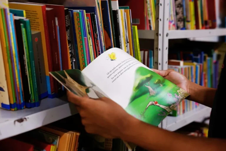 Educação no Brasil: Histórico, Sistema e Desafios Atuais