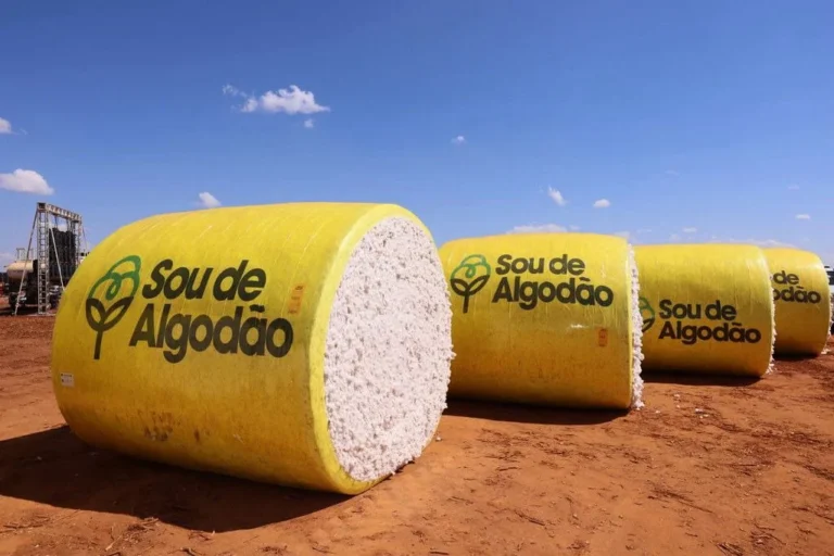 Agronegócio Alcança 22,1% da Economia Baiana em 2025