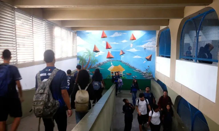 Alerta do IBGE: Saúde Mental dos Adolescentes é Preocupante no Brasil