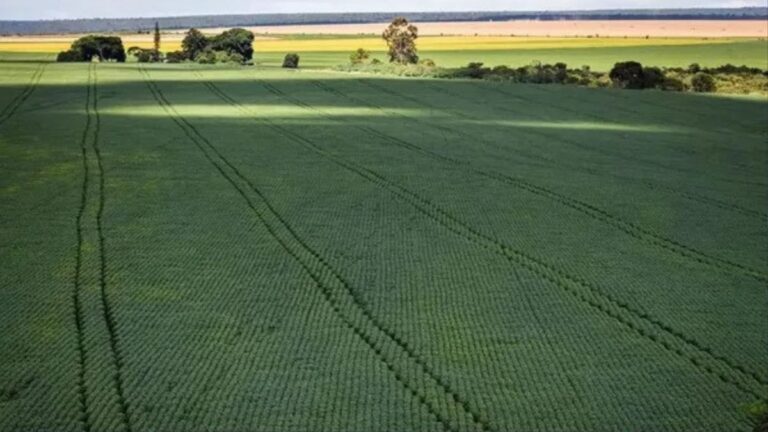Bahia em Alerta: Tensão entre EUA, Israel e Irã Impacta o Agronegócio