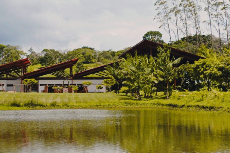 Cabrucarte: Festival Cultural Celebra a Arte e o Cacau em Ilhéus Cabrucarte: Festival Cultural Celebra a Arte e o Cacau em Ilhéus
