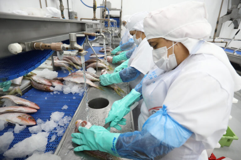 Ceará Registra 3ª Maior Queda na Indústria do Brasil em Janeiro de 2026