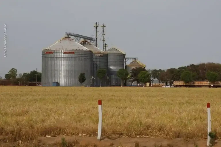 Crescimento do Brasil em 2025: PIB chega a R$ 12,7 trilhões, 6º maior do G20