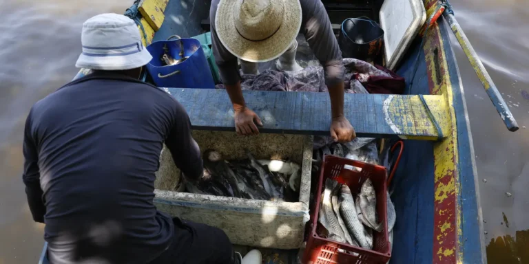 Pagamento do 6º Lote do Seguro-Defeso Beneficia Mais de 110 Mil Pescadores