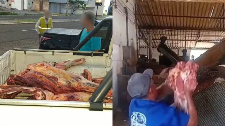 Apreensão de mais de 200 kg de carne bovina sem inspeção em Teresina Apreensão de mais de 200 kg de carne bovina sem inspeção em Teresina