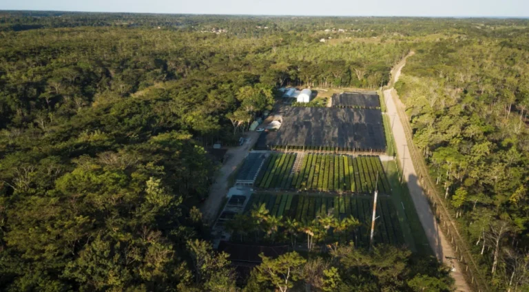 BNDES Investe R$ 26 Milhões em Projeto Sustentável na Bahia