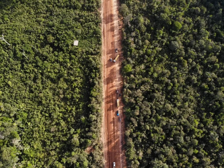 BR-319: Governo Avança em Obras na Amazônia e Enfrenta Críticas Ambientais