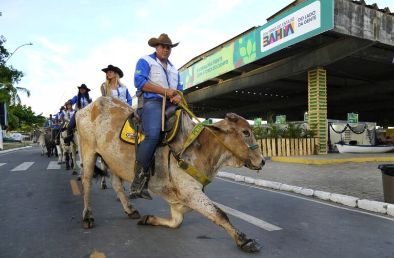 Calendário Agro 2026: Bahia Receberá Mais de 40 Eventos Incríveis