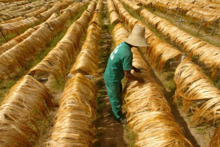 Ministro do Trabalho Interfere em Lista Suja para Retirar Associação Ligada ao PT na Bahia Ministro do Trabalho Interfere em Lista Suja para Retirar Associação Ligada ao PT na Bahia
