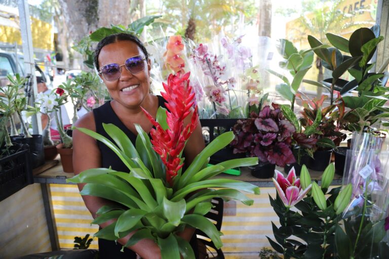 Vila Artesã e Cidade das Flores: Um Final de Semana de Cultura e Compras em Cruz das Almas Vila Artesã e Cidade das Flores: Um Final de Semana de Cultura e Compras em Cruz das Almas