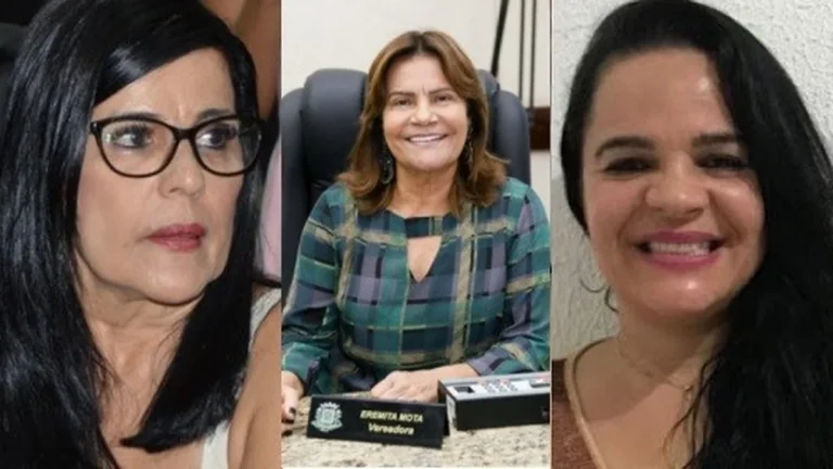 Produção Feminina na Câmara de Feira de Santana: Análise Detalhada da Atuação das Vereadoras