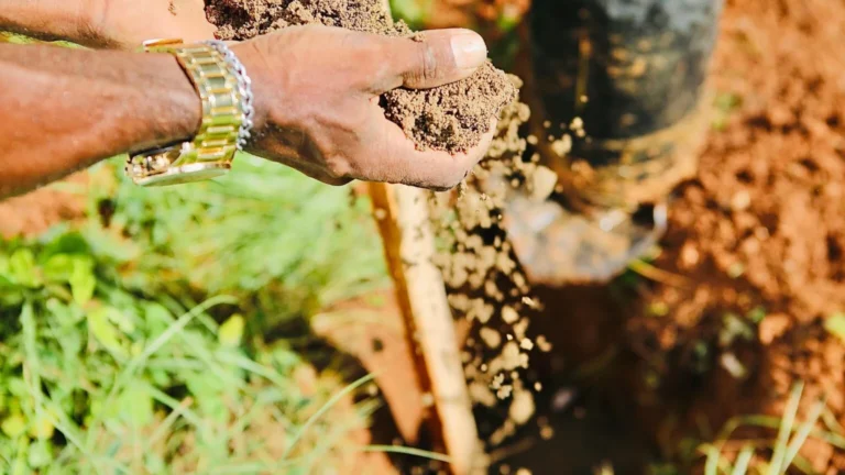 Ambientaliza Salvador 2024: Mais de 20 dias de ações para fortalecer a educação ambiental na capital Ambientaliza Salvador 2024: Mais de 20 dias de ações para fortalecer a educação ambiental na capital