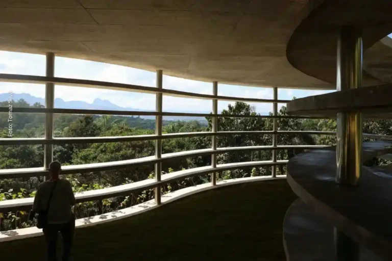 Inhotim Celebra 20 Anos com Novas Obras de Arte e Integração Cultural