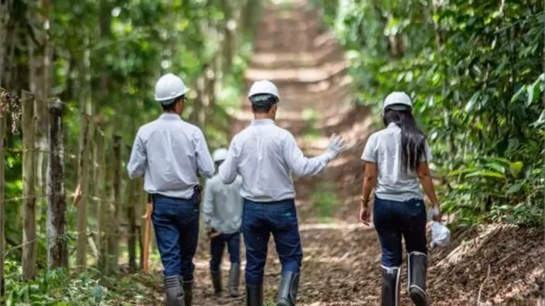 Veracel impulsiona R$ 409 milhões na economia do Sul da Bahia e preserva 100 mil hectares de Mata At