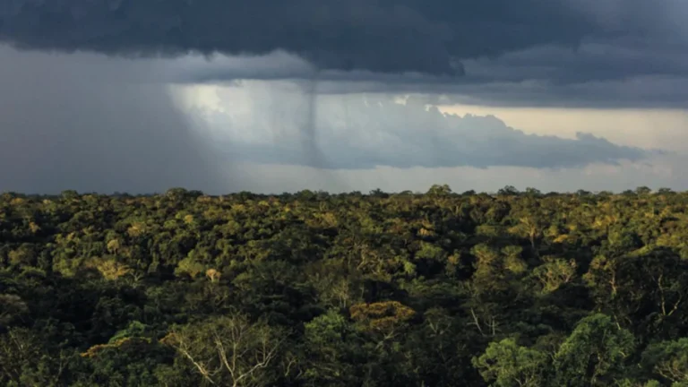 Mudanças Climáticas e Desmatamento: 7 Impactos que Transformam o Regime de Chuvas na Amazônia