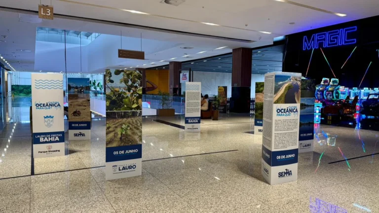 Mutirão nas praias de Lauro de Freitas e exposição cultural promovem debate sobre cultura oceânica