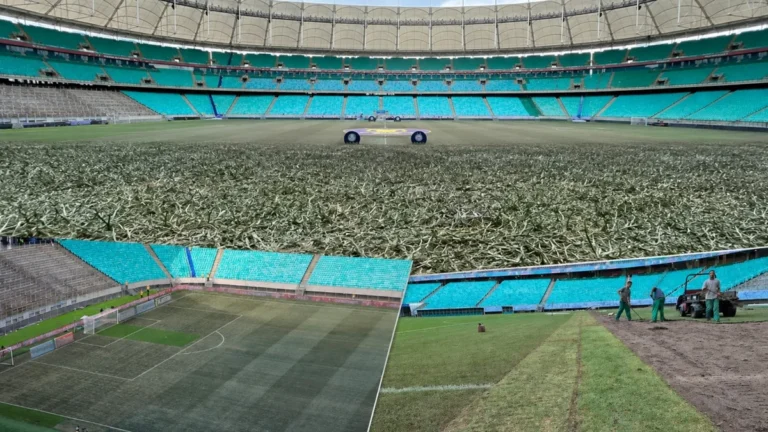 Fonte Nova em Alta: Quatro Shows e Três Jogos do Bahia em 56 Dias Fonte Nova em Alta: Quatro Shows e Três Jogos do Bahia em 56 Dias