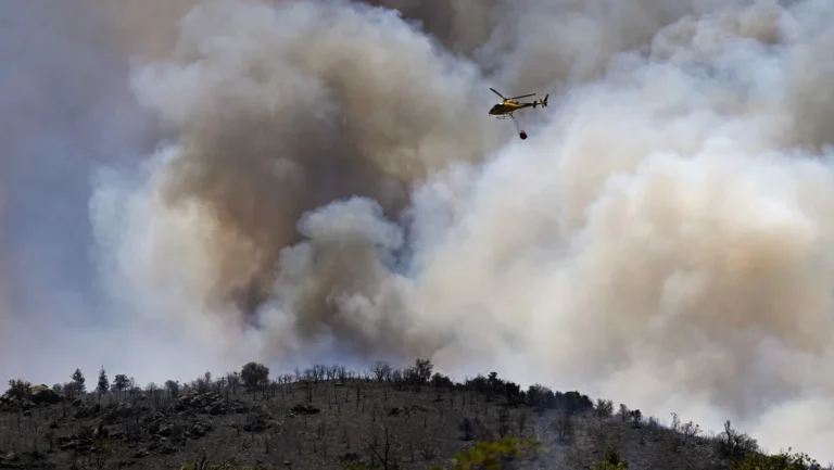 Incêndios Florestais Devastam Mais de 17 Mil Hectares na Europa com Calor Extremo