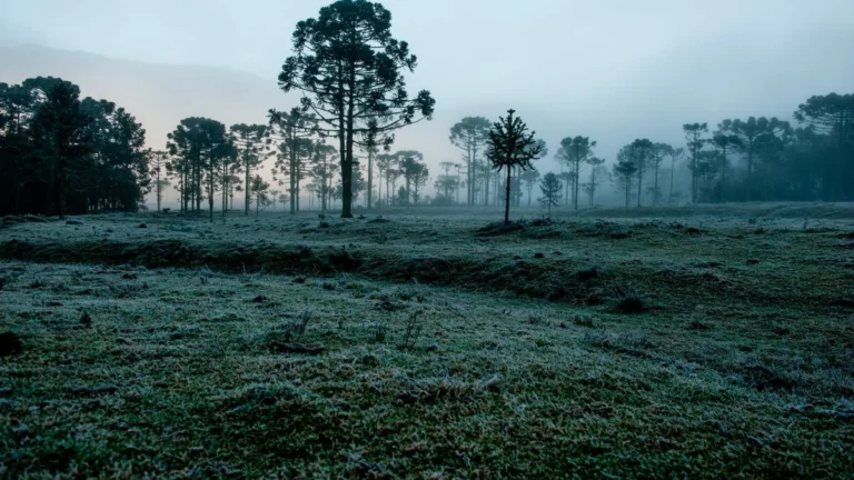 Mais frio e chuva acima da média: confira a previsão do clima para julho no Brasil