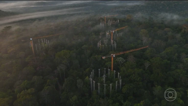 Como a Máquina na Amazônia que Simula o Clima do Futuro Pode Impactar Nossa Vida Como a Máquina na Amazônia que Simula o Clima do Futuro Pode Impactar Nossa Vida